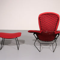 Harry Bertoia Bird Sessel mit Ottomane – ikonisches Design der 1970er
