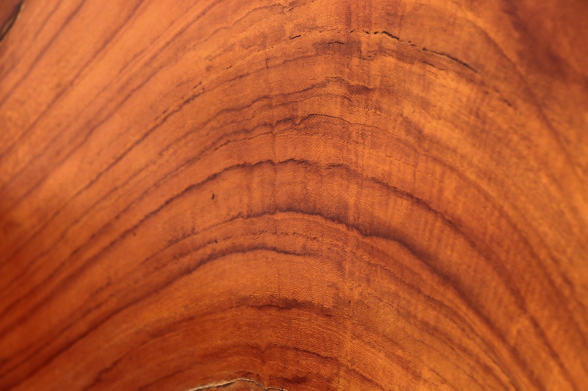 Handcrafted Reclaimed Teak Armchair by Andrianna Shamaris - Collectors - Net.Work