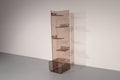 Iconic Michel Dumas Plexiglas Bookcase – 1970s French Space Age Design - Collectors - Net.Work