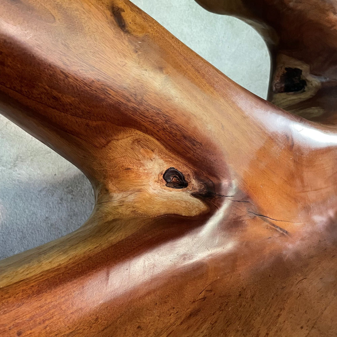 Sculptural, organically shaped solid wooden bench - COLLECTORS RDAM