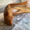 Sculptural, organically shaped solid wooden bench - COLLECTORS RDAM