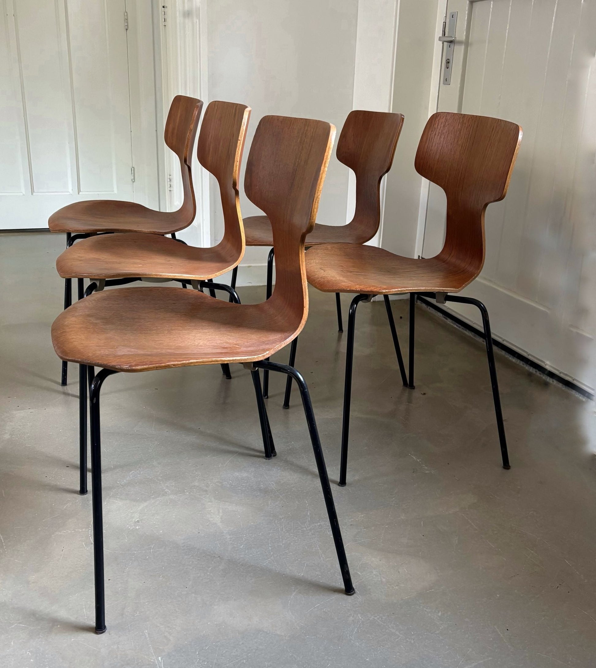 Set of 5 ‘Hammer’ chairs, design Arne Jacobsen for Fritz Hansen, Denmark, 1969 - Collectors - Net.Work