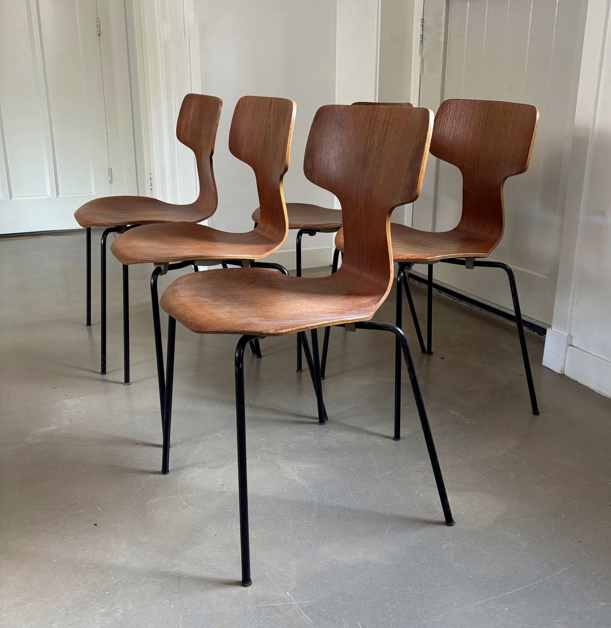 Set of 5 ‘Hammer’ chairs, design Arne Jacobsen for Fritz Hansen, Denmark, 1969 - Collectors - Net.Work